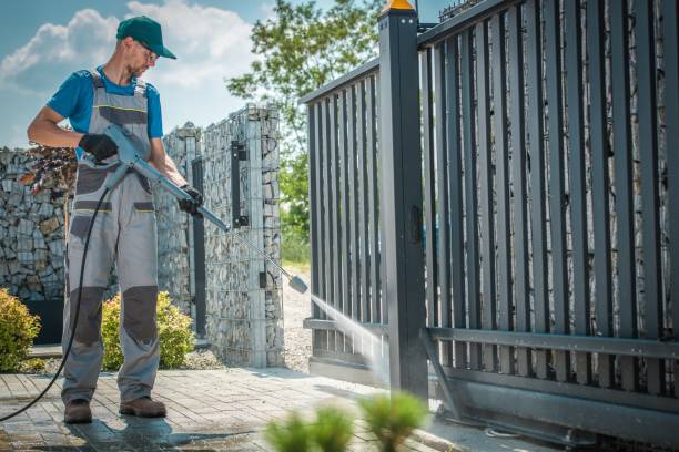 Best Driveway Pressure Washing  in Livonia, MI
