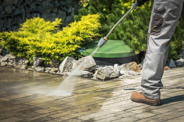 Best Building Exterior Washing  in Livonia, MI