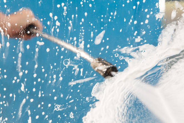 Best Sidewalk and Walkway Cleaning  in Livonia, MI