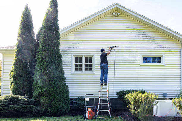 Professional Pressure Washing in Livonia, MI