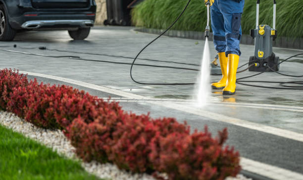Best Fence Cleaning  in Livonia, MI