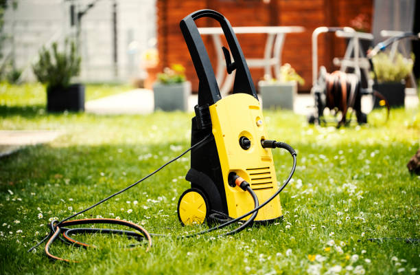 Best Sidewalk and Walkway Cleaning  in Livonia, MI